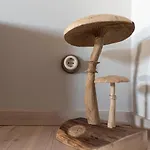 Haus Krauterkasten * Наумбург